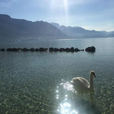 Vieil Annecy- L'edelweiss- Lejlighed *